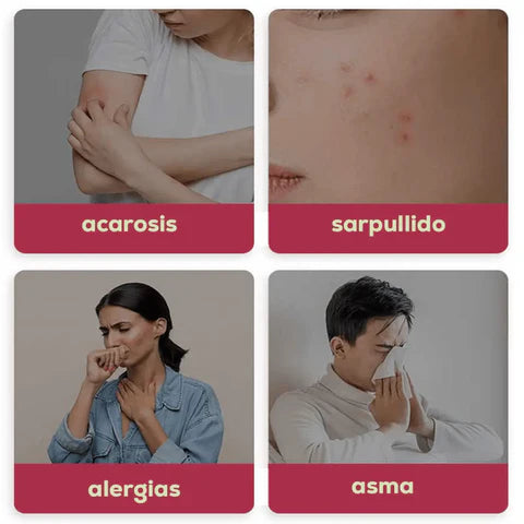 🛏️ ASPIRADORA ANTI ÁCAROS INALÁMBRICA CON LUZ UV 🔆